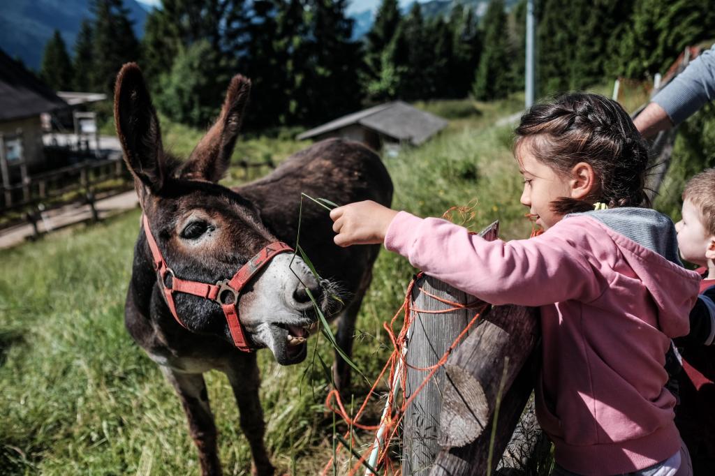 Family - Dolomiti Paganella - Residence Andalo - Malga Tovre Ph Multiweb 