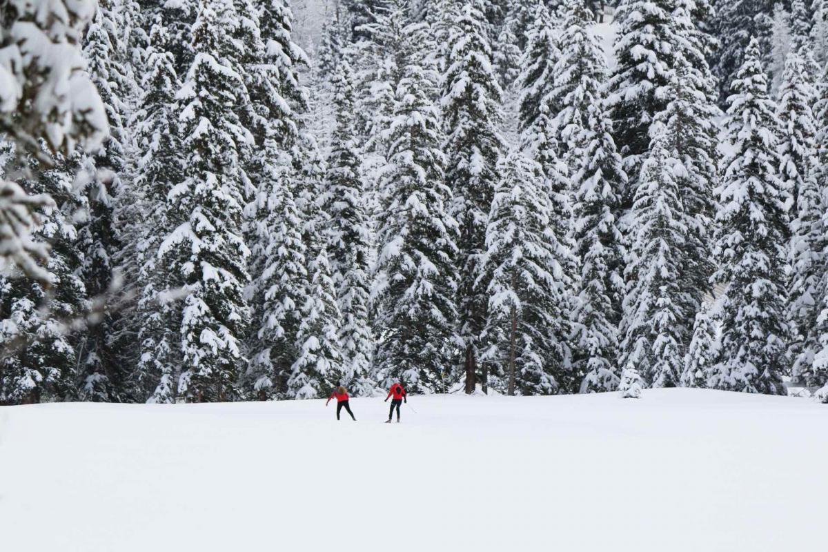 Cross-country skiing