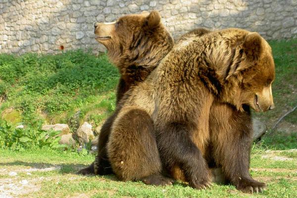 Tierpark von Spormaggiore